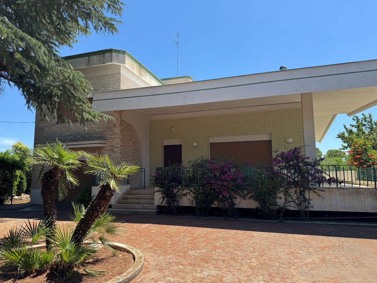 Anteprima