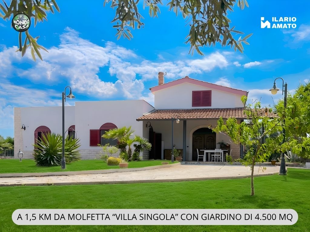 Anteprima