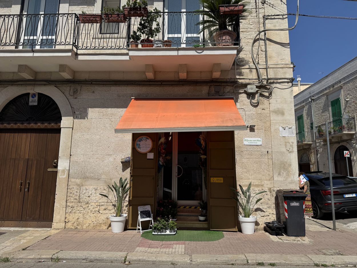 Anteprima