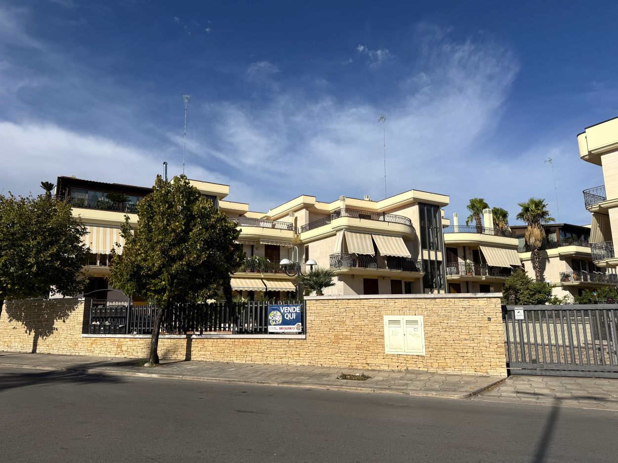 Anteprima