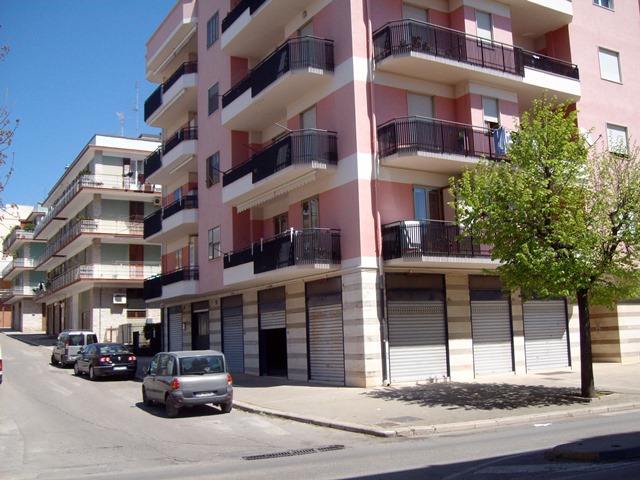 Anteprima