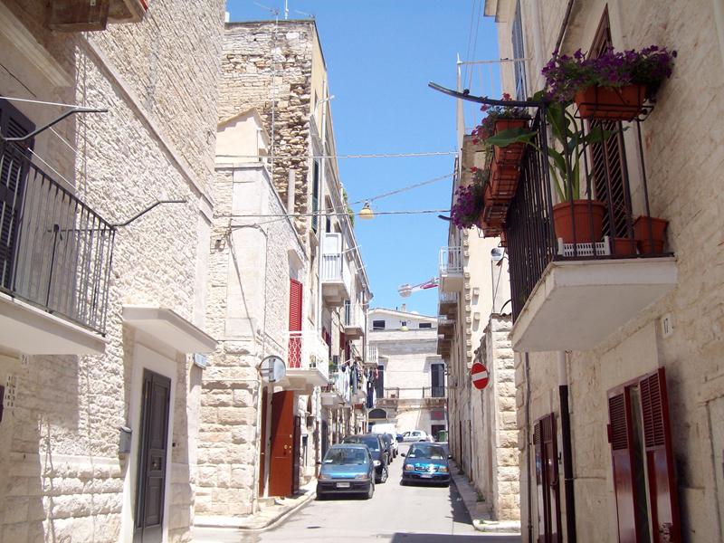 Anteprima